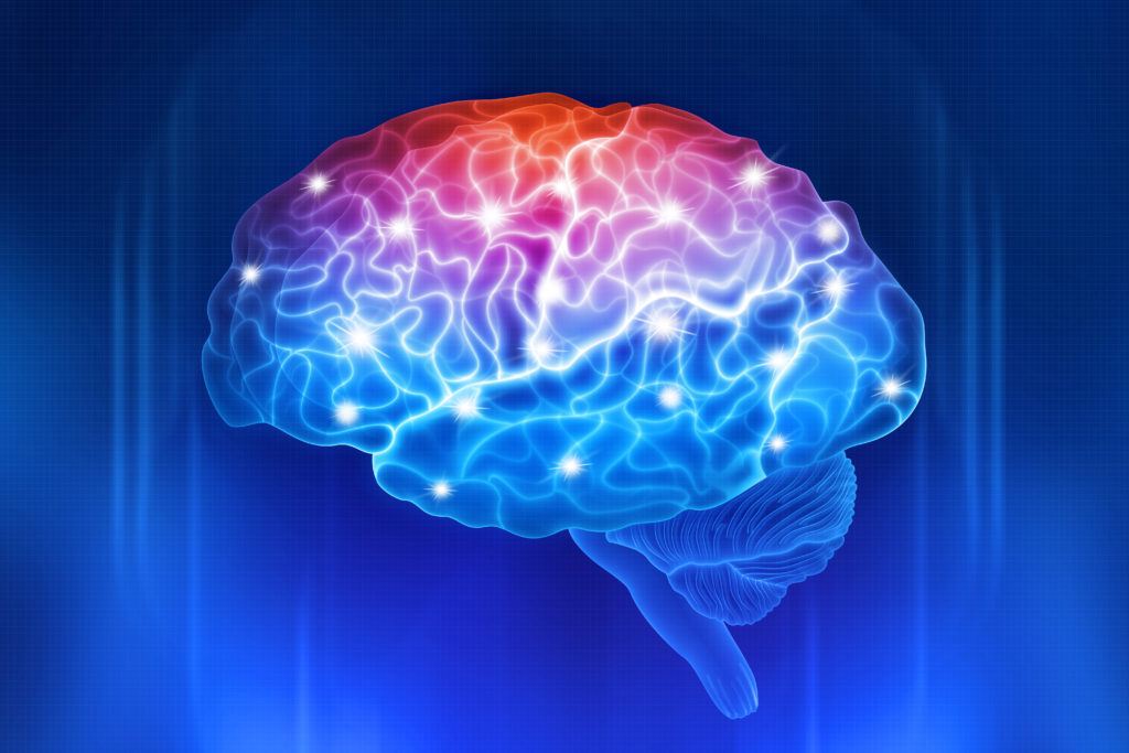 Image of brain