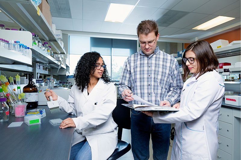A group of research students.