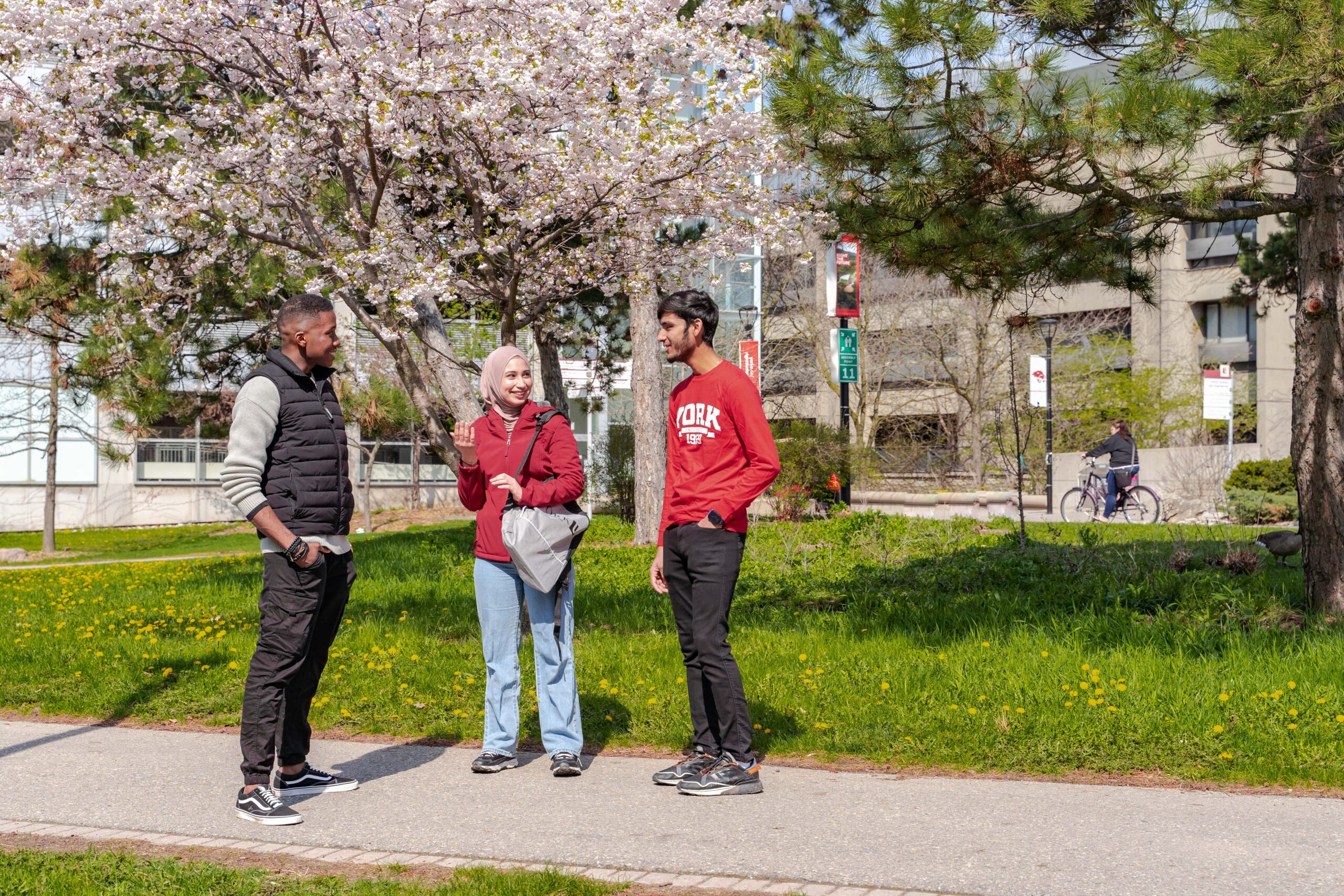 York University students on campus