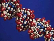 Researchers "Wire" DNA to Identify Mutations
