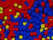 Sophisticated Computer Simulation Shows Image of Molecular Dynamics in Cells