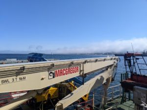 Photo showing the view from the ship "the Atlantic Condor'