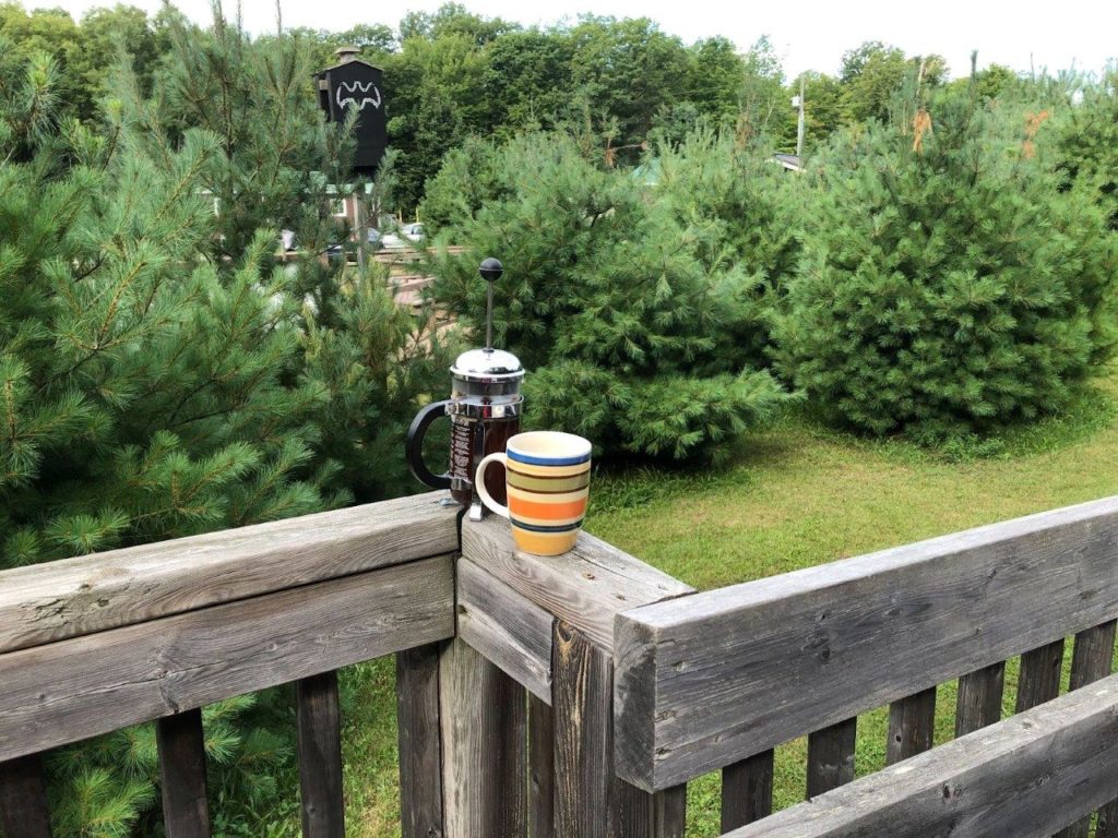 coffee mug and coffee French press on a wooden patio