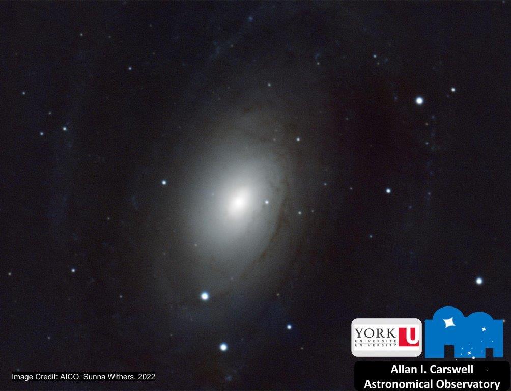 m81_2022_AICO_SunnaWithers