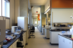 Lab Area