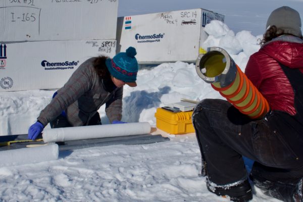 Team members preparing ice cores in the Arctic.