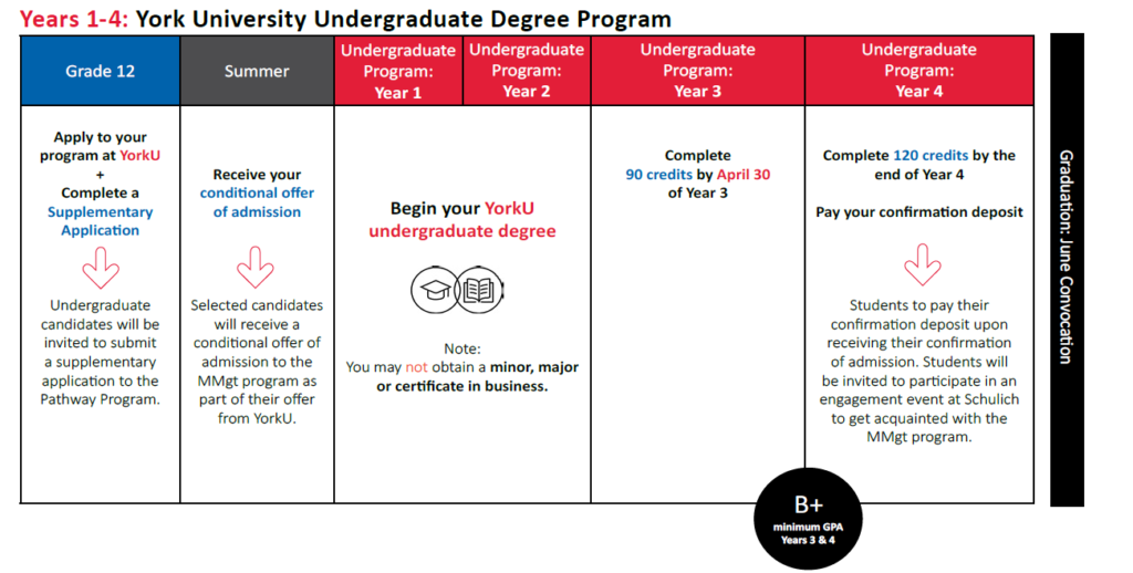 Years 1 to 4: York University Undergraduate Program timeline.