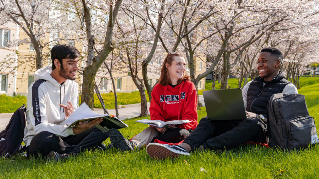 Students sitting on the grass at the York University Keele Campus