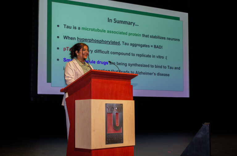 Aleeza Qayyum presenting a talk at the conference