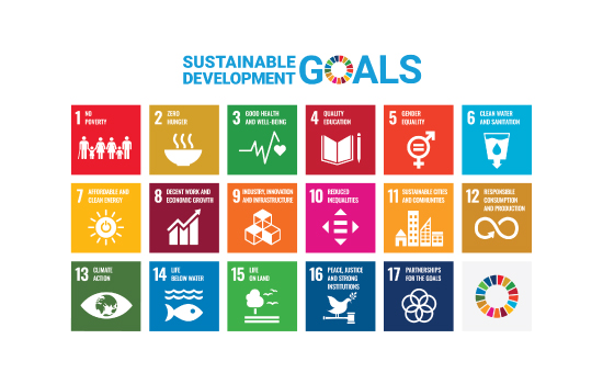 UN Sustainable Development Goals