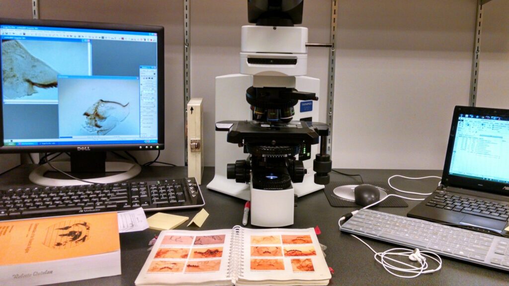 View of a microscope workstation