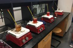 Experiments at the Science Engagement Programs
