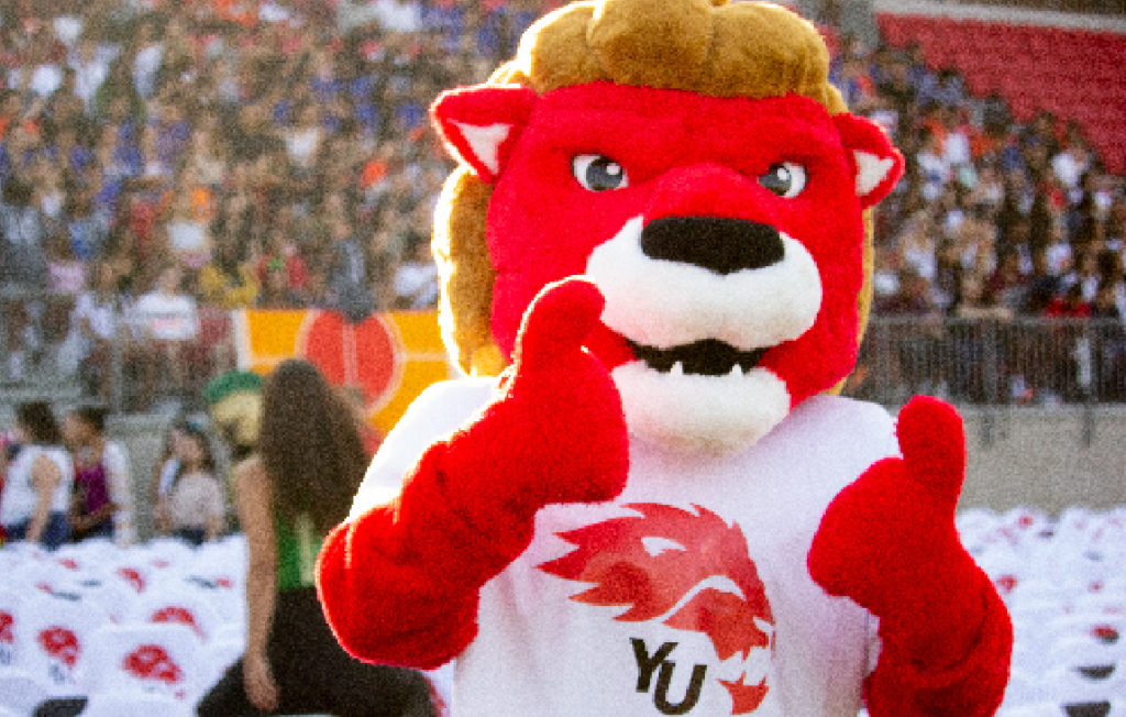 Orientation 2020 - York Lions Mascot