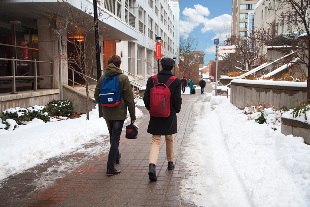 York's Campus Walk in winter