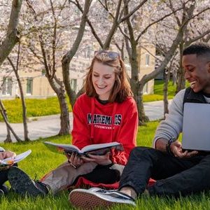 Three students sit outside of Calumet College cherry blossom trees, laughing and studying together with their laptops and textbooks open.