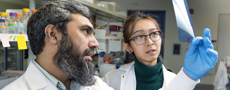 Two students in a lab examine a transparent lens.