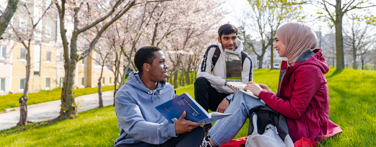 Three students sit outside studying together near the Calumet cherry blossoms in the spring.