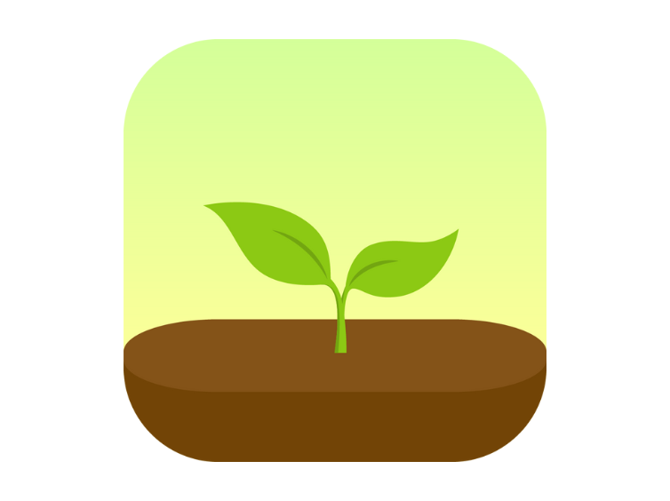 An image of a small plant which is the icon for Flora. 