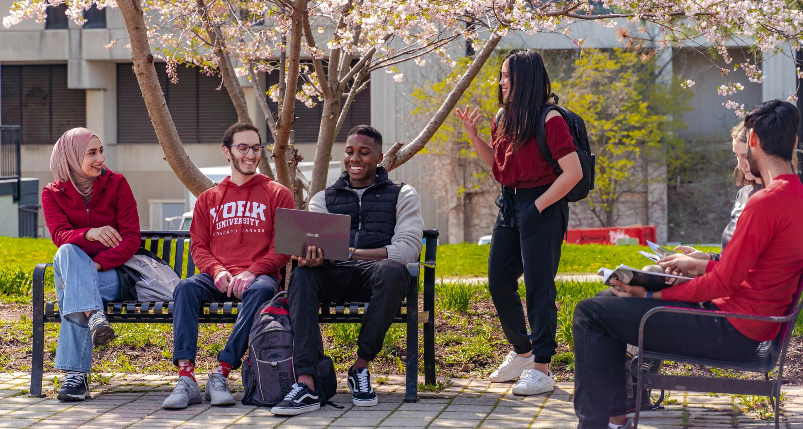 Five students sitting on a bench talking to each other