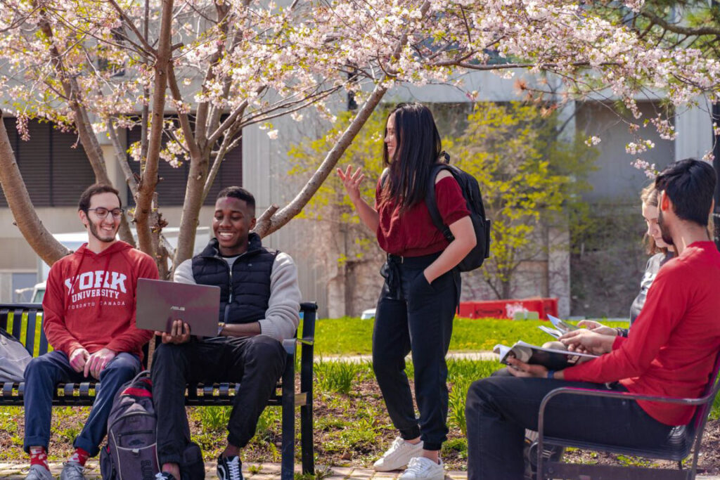 Students chatting on Keele Campus at York University