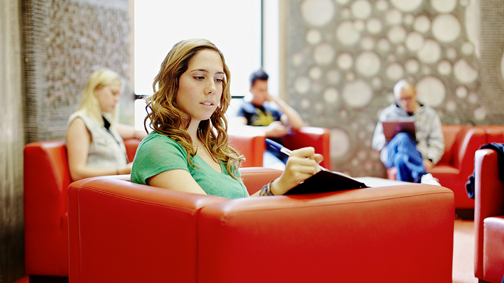 Young woman studying