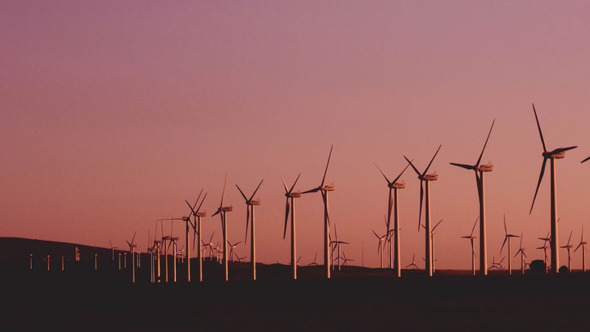 Mutiple windmills lined up in a field with a pink sky above