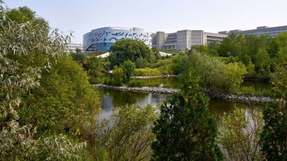 Greenery, such as trees and bushes, by a pond with the Bergeron building at York University in the background on a bright day