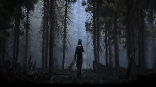 A character in the Biskaabiiyaang game, walking through a foggy forest.