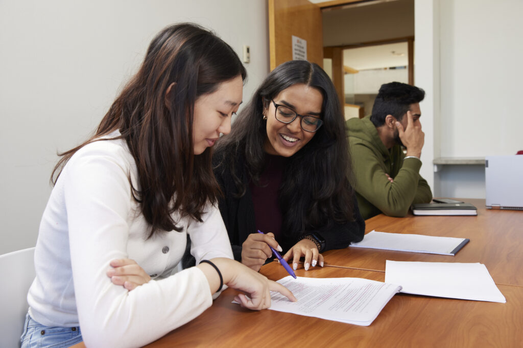Two participants proof reading a paper and assessing together