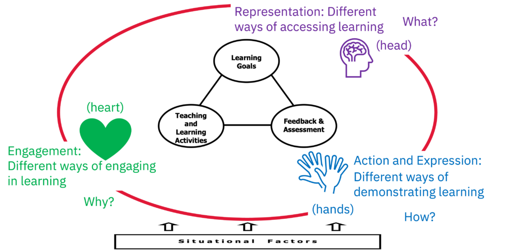 A box with "situational factors" typed inside with three arrows pointing up from this box to a red circle encompassing a model incorporating the Universal Design for Learning (UDL) principles and Fink's model of integrated course design.  In the middle is a triangle with circles at each point.  The top point, inside the circle, is "Learning goals" the bottom left point, inside the circle, is "Teaching and Learning Activities" and the bottom right point, inside the circle, is "Feedback & Assessment".  Encompassing this triangle are each of the UDL principles.  Below and to the left is a green heart with "Engagement: Different ways of engaging in learning" with "Why?".  Above the triangle in the center is a purple head outline with the brain visible inside the head with "Representation: Different ways of accessing learning" and "What?".  Below and to the right of the triangle is blue outlined hands with "Action and Expression: Different ways of demonstrating learning" with "How?".