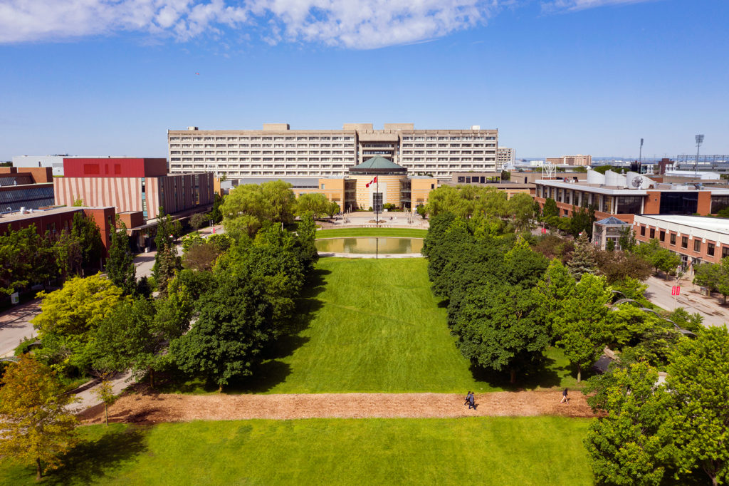 York University Commons