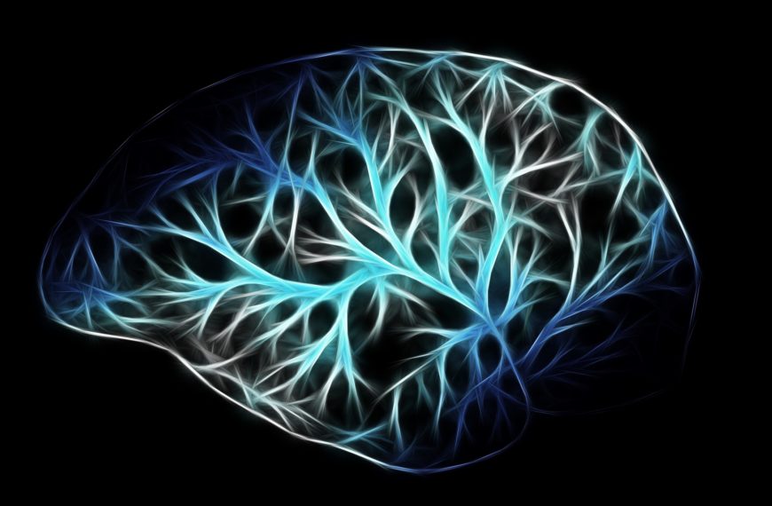 York research shows AI better than human eye at predicting brain metastasis outcomes