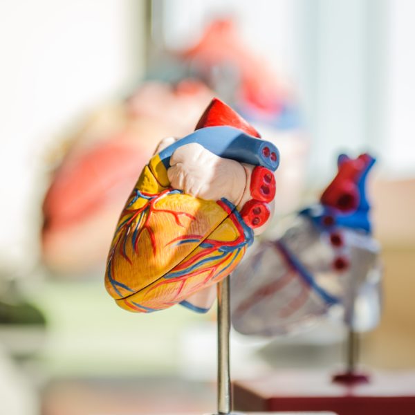 York, Qatar Universities launch first International Cardiac Rehabilitation Registry