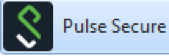 Screenshot of Pulse Secure Icon