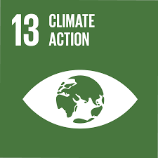 This is the SDG logo for goal #13 Climate Action written in white letters in a green square