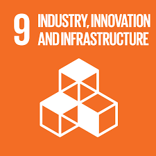 The image is a logo of SDG #9 Industry, innovation and infrastructure written in white letters in an orange square