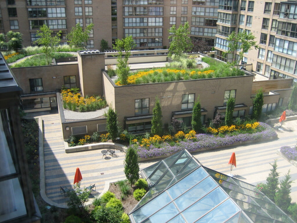 This is an image of a rooftop garden with green trees, yellow and red flowers that are surrounded by residential building