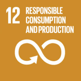 SDGs #12 Responsible Consumption and Production