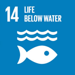 SDGs #14 Life Below Water