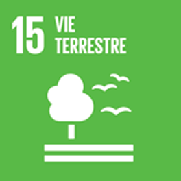 SDGs #15