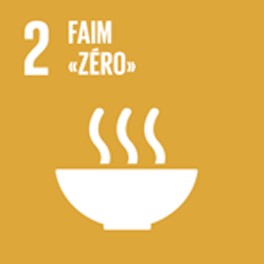 SDGs #2 faim zero
