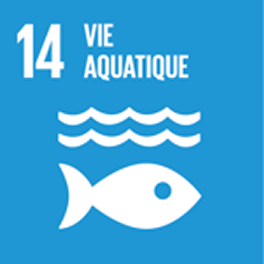 SDGs #14