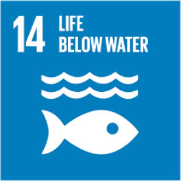 SDG 14: Life Below Water