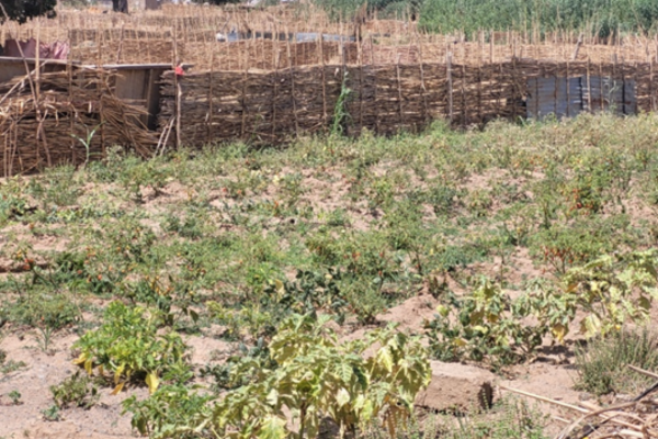 Documenting food insecurity in Northern Ghana