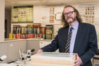 York professor shines spotlight on bees of the world