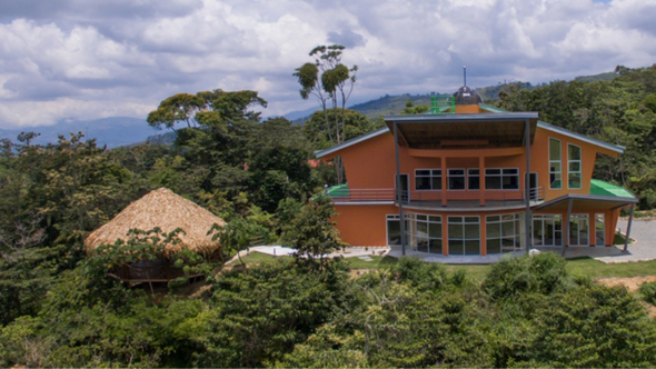 An orange and green building in the middle of the rainforest