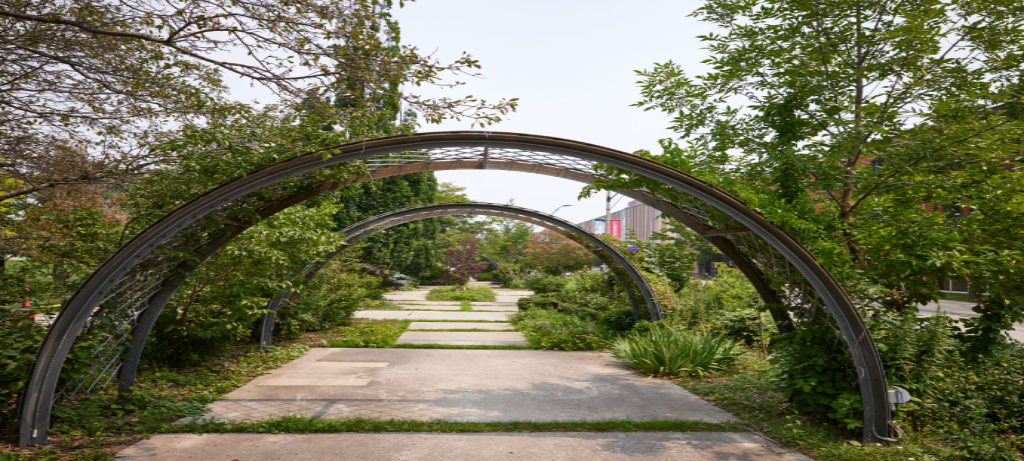 Arches in the Commons.