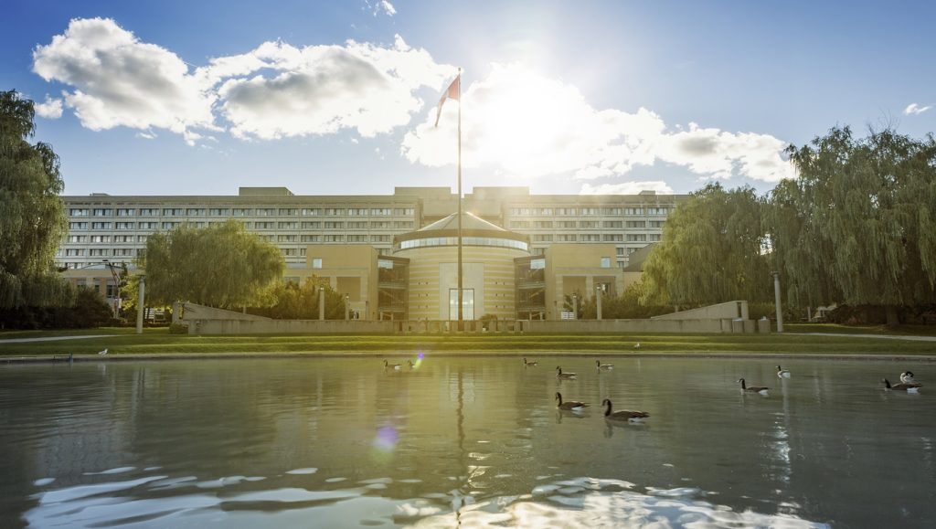 Ducks swimming in a pond by the front entrance of Vari hall