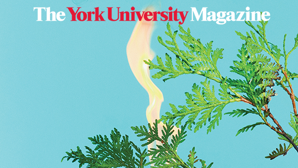 tree on fire the york university magazine 
