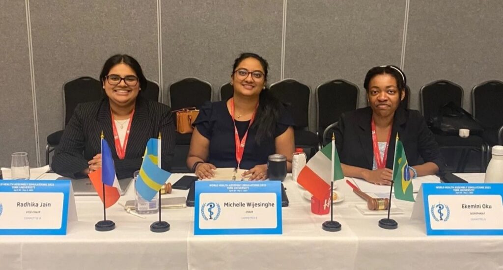 Delegates at the 2024 WHA-SIM